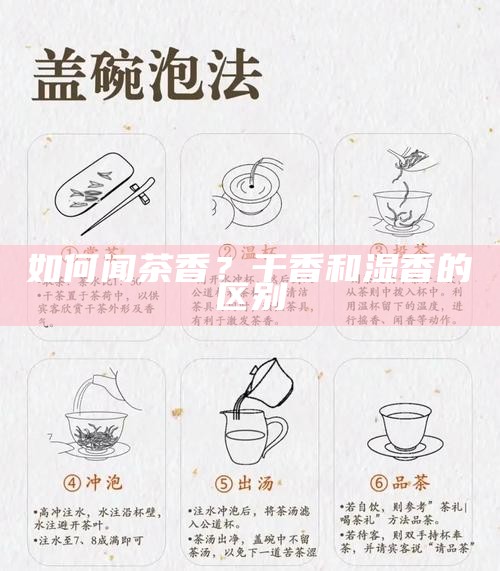 一壶一世界，解锁功夫茶的精致冲泡步骤