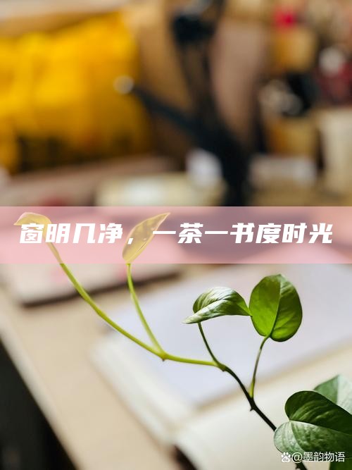 窗明几净,一茶一书度时光